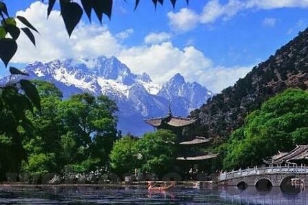 森林舞会街机程序-森林舞会，街机程序中的自然韵律